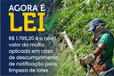 Sobe para R$ 1.795,20 o valor da multa aplicada em caso de descumprimento de notificação para limpeza de lotes